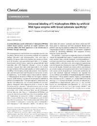 Triphosphate Rnas by Artificial RNA Ligase Enzyme with Broad Substrate Specificity