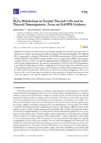H2O2 Metabolism in Normal Thyroid Cells and in Thyroid Tumorigenesis: Focus on NADPH Oxidases