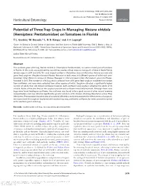 Potential of Three Trap Crops in Managing Nezara Viridula (Hemiptera: Pentatomidae) on Tomatoes in Florida