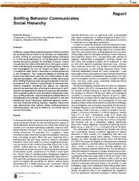 Sniffing Behavior Communicates Social Hierarchy