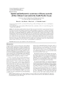 Spatial and Bathymetric Occurrence of Brama Australis Off