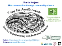 The Eel Project: Fish Conservation Through Community Science