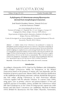A Phylogeny of Cribrariaceae Among Myxomycetes Derived from Morphological Characters