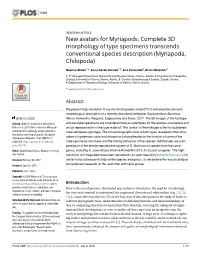 New Avatars for Myriapods: Complete 3D Morphology of Type Specimens Transcends Conventional Species Description (Myriapoda, Chilopoda)