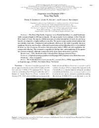 Texas Map Turtle