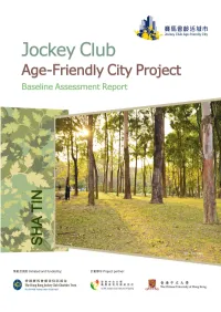 Baseline Assessment Report -Sha Tin District