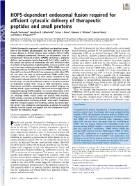 HOPS-Dependent Endosomal Fusion Required for Efficient Cytosolic Delivery of Therapeutic Peptides and Small Proteins