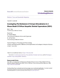 Investigating the Mechanism of Ectopic Mineralization in a Mouse Model of Diffuse Idiopathic Skeletal Hyperostosis (DISH)