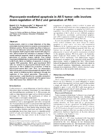 Phycocyanin-Mediated Apoptosis in AK-5 Tumor Cells Involves Down-Regulation of Bcl-2 and Generation of ROS