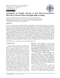 Assessment of Possible Threats to Soil Macro-Invertebrates Diversity in Wheat Fields from High Input Farming