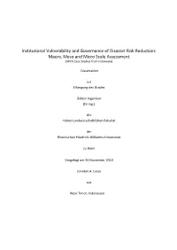 Institutional Vulnerability and Governance of Disaster Risk Reduction: Macro, Meso and Micro Scale Assessment (With Case Studies from Indonesia)