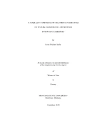 A Turbulent Upriver Flow: Steamboat Narratives