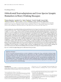 Orbitofrontal Neuroadaptations and Cross-Species Synaptic Biomarkers in Heavy-Drinking Macaques