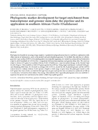 Phylogenetic Marker Development for Target Enrichment from Transcriptome and Genome Skim Data
