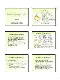 Radiosensitivity and Cell Age in the Mitotic Cycle
