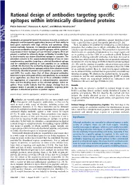 Rational Design of Antibodies Targeting Specific Epitopes Within Intrinsically Disordered Proteins