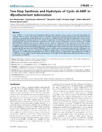Two-Step Synthesis and Hydrolysis of Cyclic Di-AMP in Mycobacterium Tuberculosis