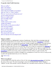 Frequently Asked Truffle Questions Frequently Asked Truffle Questions