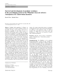 Survival and Development of Predator Avoidance in the Post-Fledging Period of the Whinchat (Saxicola Rubetra): Consequences