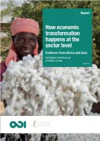 How Economic Transformation Happens at the Sector Level