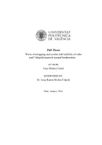 Phd Thesis Wave Overtopping and Crown Wall Stability of Cube and Cubipod-Armored Mound Breakwaters