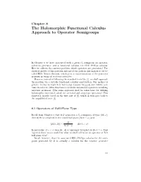 The Holomorphic Functional Calculus Approach to Operator Semigroups