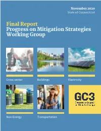 Progress on Mitigation Strategies Working Group 2020 Final Report