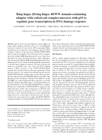 Ring Finger 20/Ring Finger 40/WW Domain‑Containing Adaptor with Coiled‑Coil Complex Interacts with P53 to Regulate Gene Transcription in DNA Damage Response