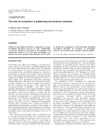 The Role of Nucleation in Patterning Microtubule Networks
