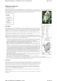 Robinia Pseudoacacia - Wikipedia, the Free Encyclopedia Page 1 of 3