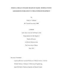 FISH in a TIDALLY DYNAMIC REGION in MAINE: HYDROACOUSTIC ASSESSMENTS in RELATION to TIDAL POWER DEVELOPMENT by Haley A. Viehman