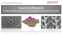 Grayscale Lithography Creating Complex 2.5D Structures in Thick Photoresist by Direct Laser Writing