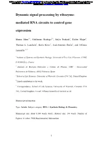 Dynamic Signal Processing by Ribozyme-Mediated RNA Circuits to Control Gene Expression