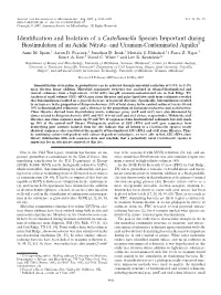 Identification and Isolation of a Castellaniella Species Important During Biostimulation of an Acidic Nitrate