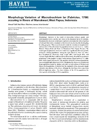 Morphology Variation of Macrobrachium Lar (Fabricius, 1798) Occuring in Rivers of Manokwari, West Papua, Indonesia