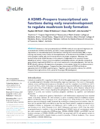 A KDM5–Prospero Transcriptional Axis Functions During Early