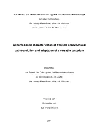 Genome-Based Characterization of Yersinia Enterocolitica: Patho-Evolution and Adaptation of a Versatile Bacterium