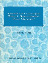 Systematics of the Neotropical Characoid Genus Curimatopsis (Pisces: Characoidei)