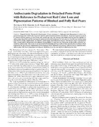 Anthocyanin Degradation in Detached Pome Fruit with Reference to Preharvest Red Color Loss and Pigmentation Patterns of Blushed and Fully Red Pears