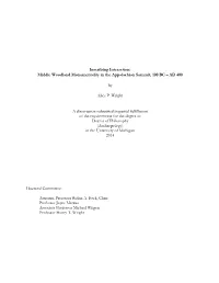 Inscribing Interaction: Middle Woodland Monumentality in the Appalachian Summit, 100 BC – AD 400