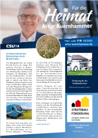 Newsletter Als PDF Laden