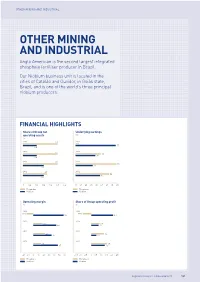 Other Mining and Industrial