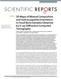 3D Maps of Mineral Composition and Hydroxyapatite Orientation in Fossil Bone Samples Obtained by X-Ray Diffraction Computed Tomo