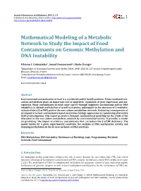 Mathematical Modeling of a Metabolic Network to Study the Impact of Food Contaminants on Genomic Methylation and DNA Instability