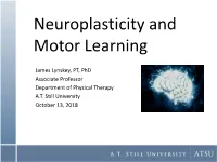 Predicting Recovery After a Stroke