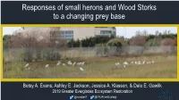 Responses of Small Herons and Wood Storks to a Changing Prey Base