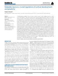 Subplate Neurons: Crucial Regulators of Cortical Development and Plasticity