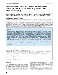 Identification of Genomic Regions Associated with Phenotypic Variation Between Dog Breeds Using Selection Mapping