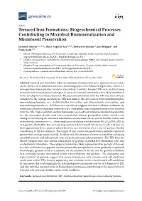 Terraced Iron Formations: Biogeochemical Processes Contributing to Microbial Biomineralization and Microfossil Preservation