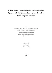 A New Class of Molecules from Staphylococcus Species Affects Quorum Sensing and Growth of Gram-Negative Bacteria
